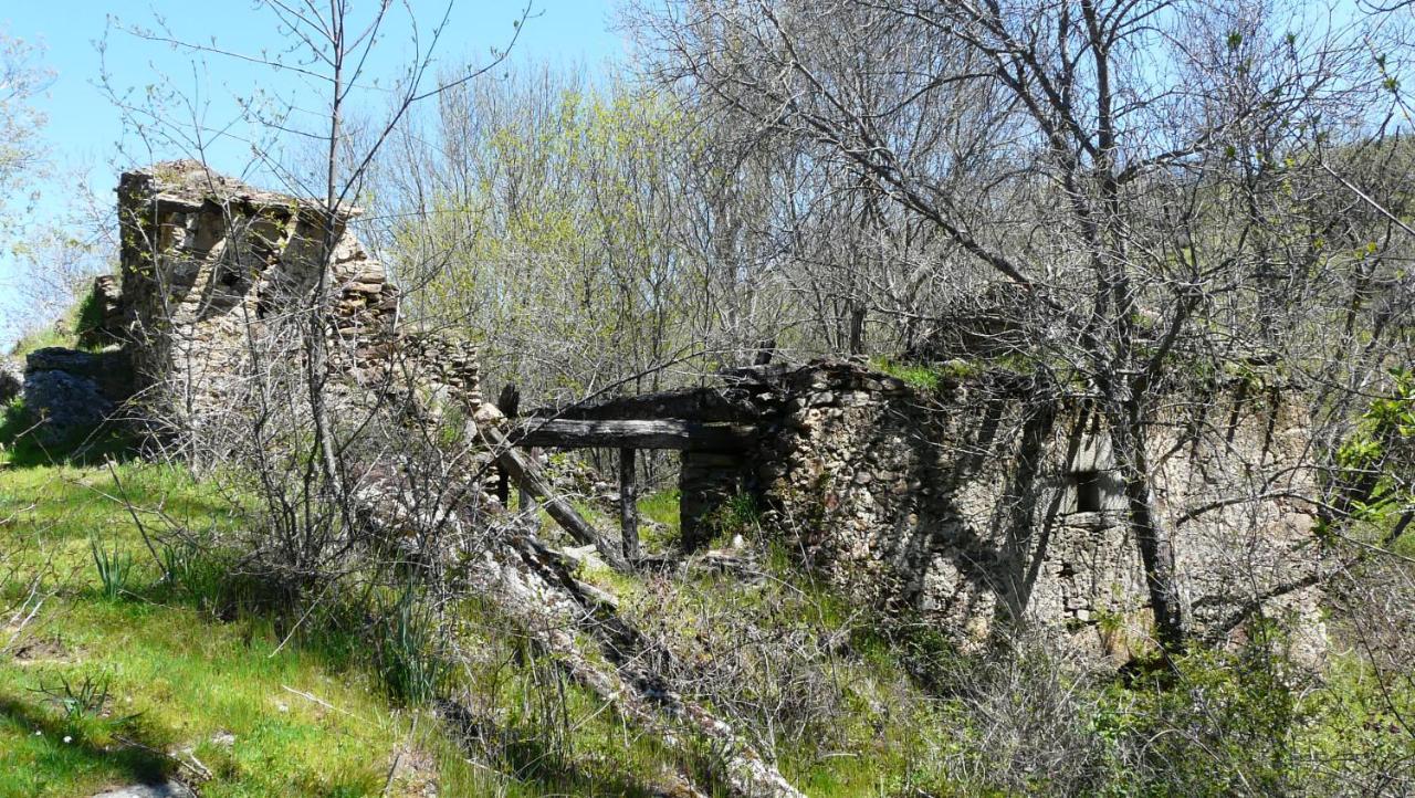 El Huerto De Leon Villa Pradena del Rincon Dış mekan fotoğraf