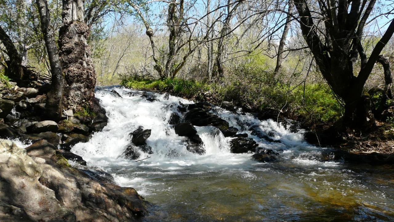 El Huerto De Leon Villa Pradena del Rincon Dış mekan fotoğraf