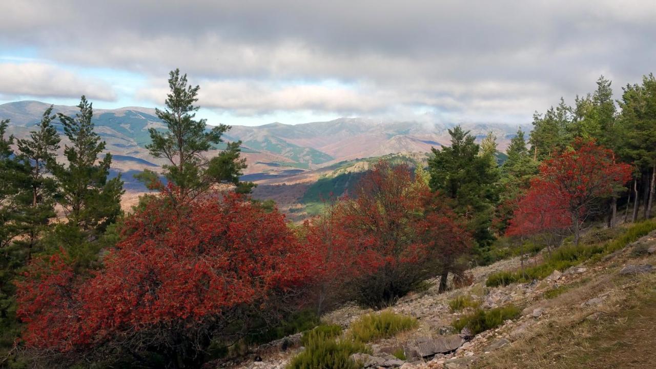 El Huerto De Leon Villa Pradena del Rincon Dış mekan fotoğraf