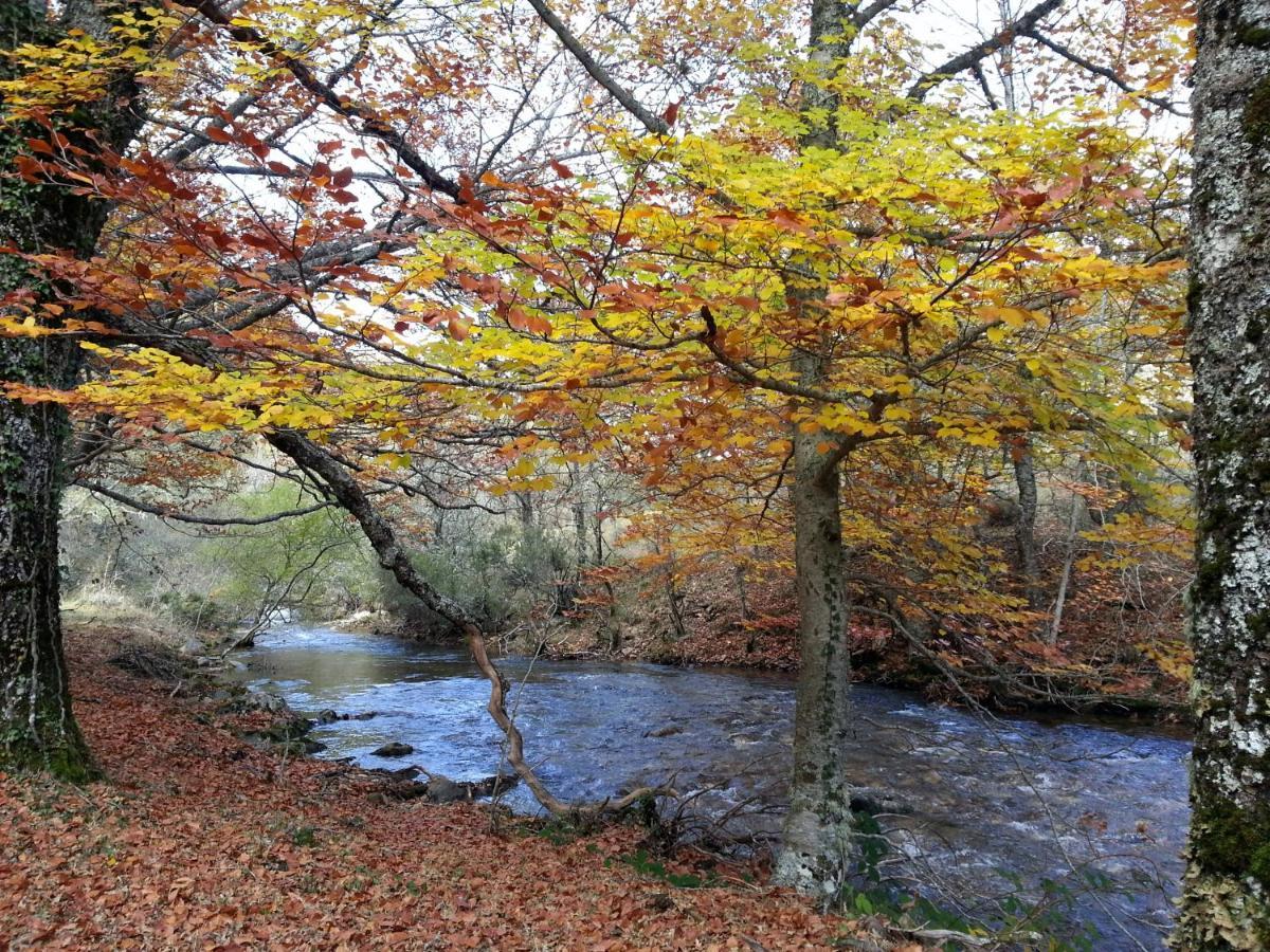 El Huerto De Leon Villa Pradena del Rincon Dış mekan fotoğraf